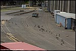 Misc_11_SPD3854.jpg