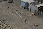 Misc_12_SPD3855.jpg