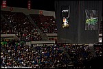 Misc_39_SPD4337.jpg