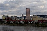 Misc_58_SPD4851.jpg