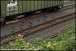 Misc_62_SPD4864.jpg