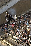 Mason_03_SPD0614.jpg