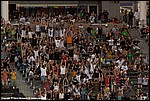 Misc_040_SPD1132.jpg