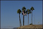 Mason_21_SPD7634.jpg