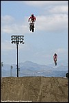 Misc_18_SPD7403.jpg