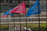 Misc_21_SPD7417.jpg