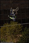 Adams_23_SPD5725.jpg