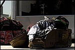 Mason_36_SPD6010.jpg