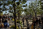 Misc_49_SPD6027.jpg