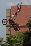 Faisst_12_SPD8508.jpg