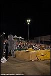 Misc_24_SPD8909.jpg