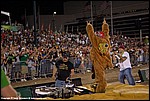 Misc_28_SPD8913.jpg