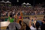 Misc_33_SPD8920.jpg
