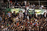 Misc_49_SPD8979.jpg