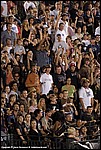 Misc_50_SPD8991.jpg