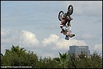 Rebeaud_10_SPD8433.jpg