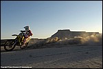 Miller_038_SPD9597.jpg