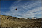 Miller_073_SPD9757.jpg