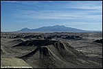 Misc_18_SPD9697.jpg