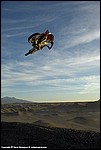Misc_36_SPD9830.jpg