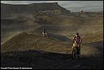 Misc_38_SPD9834.jpg