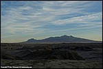 Misc_39_SPD9835.jpg