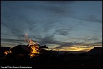 Misc_43_SPD9903.jpg