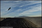 Nielson_03_SPD9802.jpg