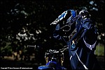 Foster_107_DSC4220.jpg