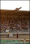 OctaneFest_026_DSC5070.jpg