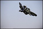 OctaneFest_126_DSC5320.jpg