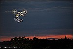 Danielson_01_DSC6299.jpg