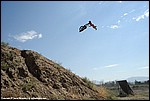 Burlew_12_DSC9069.jpg