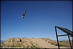Jones_94_DSC9933.jpg