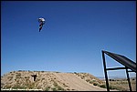 Jones_95_DSC9975.jpg