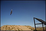 Mason_82_DSC9865.jpg