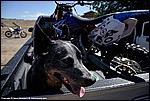 Misc_02_DSC0041.jpg