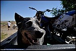 Misc_03_DSC0042.jpg