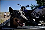 Misc_04_DSC0043.jpg
