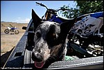 Misc_05_DSC0044.jpg
