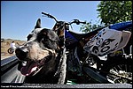 Misc_06_DSC0045.jpg