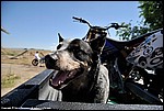 Misc_07_DSC0046.jpg