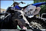 Misc_08_DSC0047.jpg