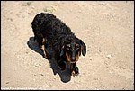 Misc_11_DSC9160.jpg