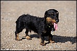 Misc_37_DSC9624.jpg