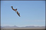 Jones_33_DSC0558.jpg