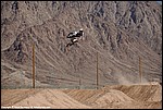Misc_054_DSC0253.jpg