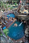 Misc_107_DSC0359.jpg