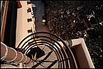 Misc_145_DSC0448.jpg