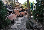Misc_146_DSC0449.jpg